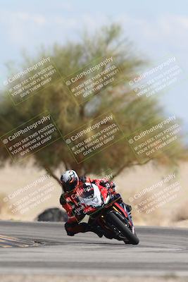 media/Oct-13-2025-Moto Forza (Mon) [[a66d839500]]/3-B Group/Session 4 Turn 4 Tree of Life/